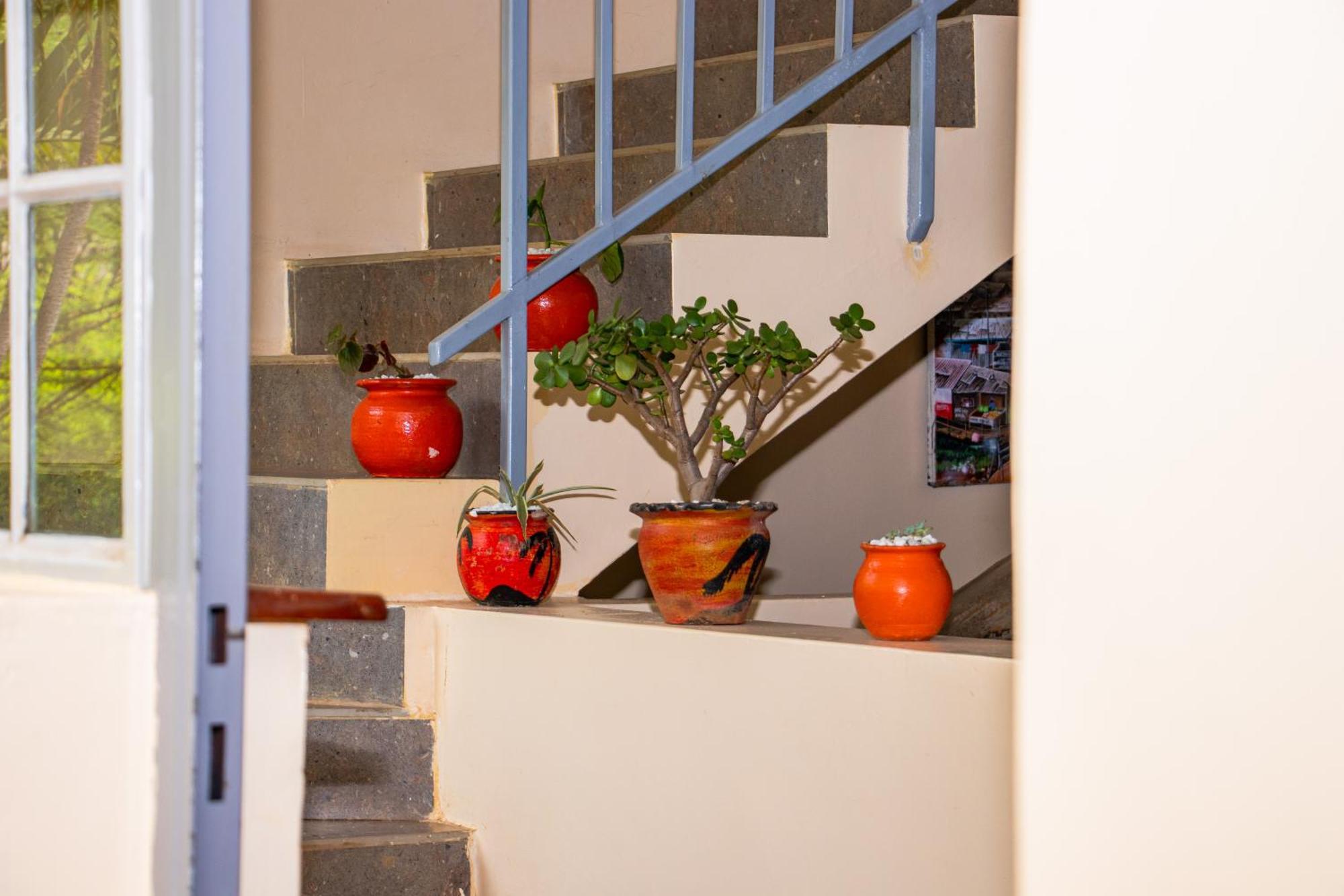 Acacia Tree Lodge Nairobi Ngoại thất bức ảnh